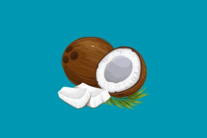 Kokosnuss Geschenke